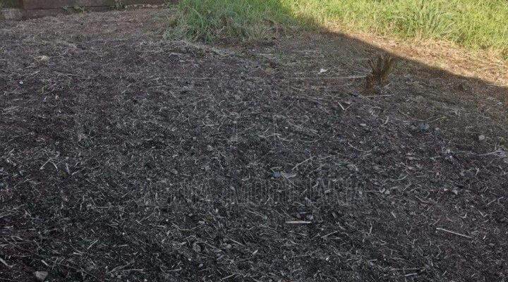 terreno-plano-cachamorra-campo-grande-003